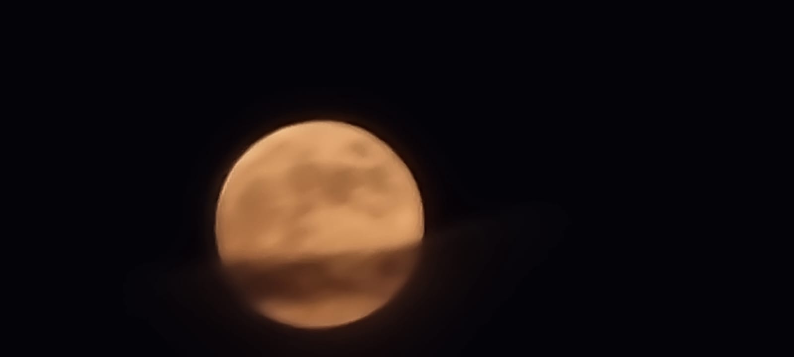 WhatsApp Image 2023-10-28 at 18.18.58.jpeg